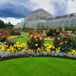 Seasonal Planting & Flowerbed Design