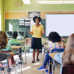 Teacher Professional Development