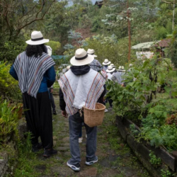 Sustainable Farm Tours