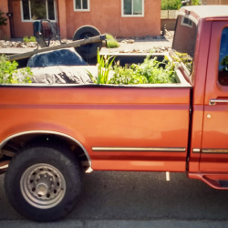 Gardening Services