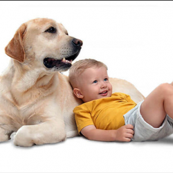 Kids & Dogs