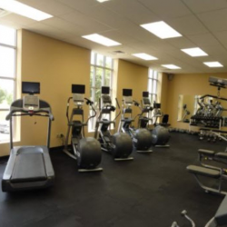 Fitness and Wellness Facilities