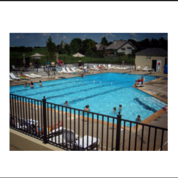 Swimming Pool and Recreation Area