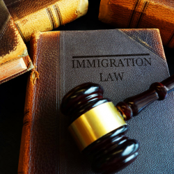 Immigration Law