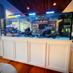 Aquarium Install