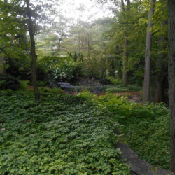 Landscape Installation