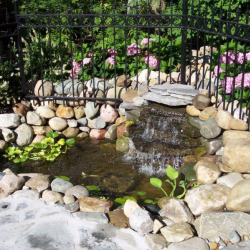 Water Feature Design & Installation