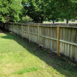 Fence Builder/Renovation