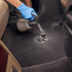 Carpet and Upholstery Shampooing