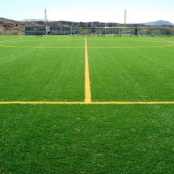 Sports Building