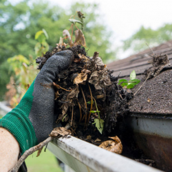 Gutter Cleaning