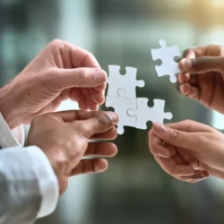 Professional Development Workshops