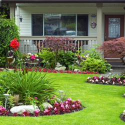 Landscape Design and Installation