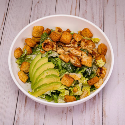 Vegetarian & Plant-Based Cuisine