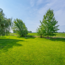 Summer Celebration Giveaway