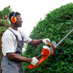 Tree and Shrub Care