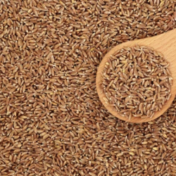 Premium Ingredient Sourcing