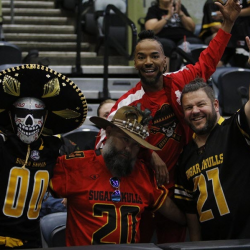 Sugar Skulls SALUTE