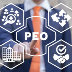 Professional Employer Organization PEO