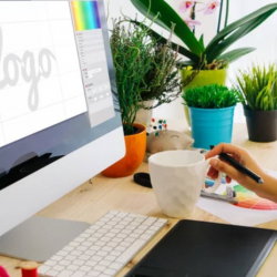 Logo and Visual Identity