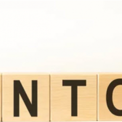 Personal & Small Business Mentor/Coach