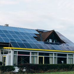 Green Roof Solutions