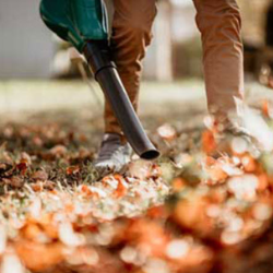 Fall Cleanup