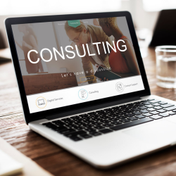 Consulting Services