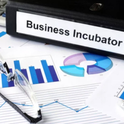 Entrepreneurial Support Programs