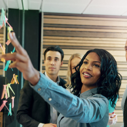 Strategic Program Development