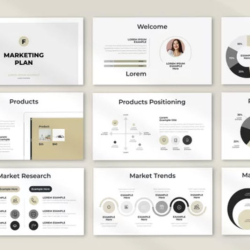 Customized Marketing Plans