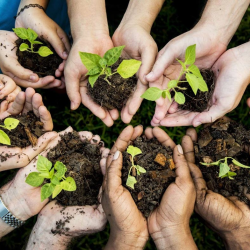 News & Press Library