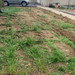 Fertilization and Weed Control