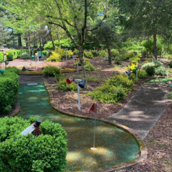 Landscape Design and Installation