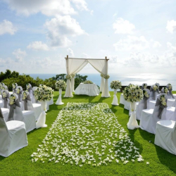 Event And Party Supplies