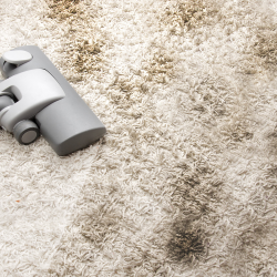 Carpet and Upholstery Cleaning