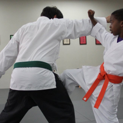Children's Martial Arts Program