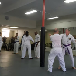 Self-Defense Workshops