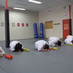 Advanced Belt Training