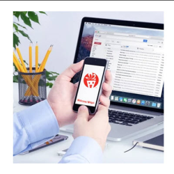 Social Media Program Reach