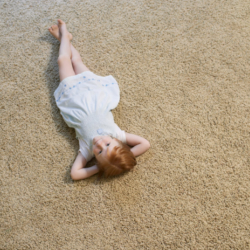 Carpet Cleaning