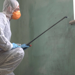 Mold Remediation