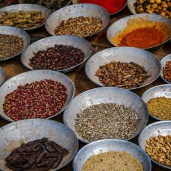 Premium Organic Herbs