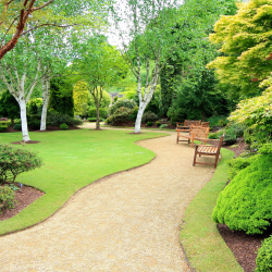 Customized Landscaping Services