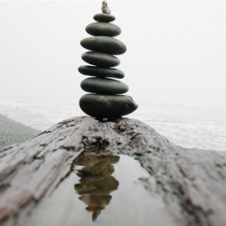 Wellness Pathways