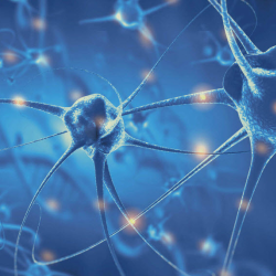 Brain Gauge Cognitive Assessment