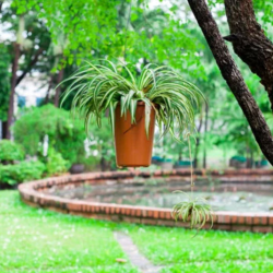 Outdoor Living and Garden Center