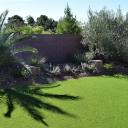 Artificial Grass and Turf