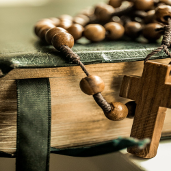 Bible Study Groups