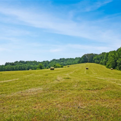Farms 